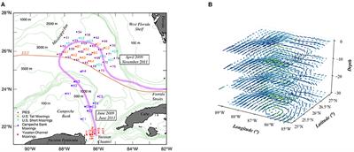 Physics-Informed Tensor-Train ConvLSTM for Volumetric Velocity Forecasting of the Loop Current
